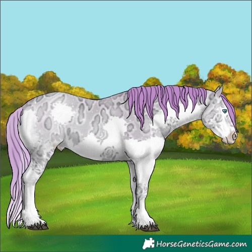 Horse Color:Watercolor Buckskin Ice Snowdrop Onyx Splash Tobiano