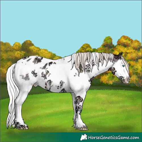 Horse Color:White Spotted Midnight Silver Bay Ice Onyx Splash Tobiano Near Leopard 