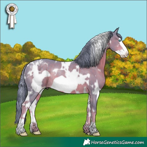 Horse Color:Watercolor White Spotted Liver Chestnut Frame Rabicano
