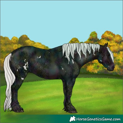 Horse Color:Watercolor White Spotted Midnight Silver Brown Ice Onyx 
