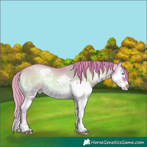 Horse Color:Watercolor Classic Champagne Onyx Splash Varnish