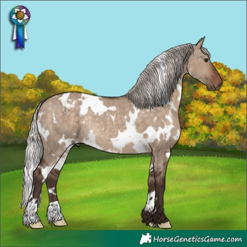 Horse Color:White Spotted Silver Brown Dun Rabicano