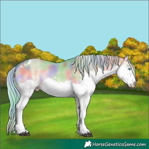 Horse Color:Nacre Watercolor White Spotted Silver Brown Onyx Splash Tobiano 