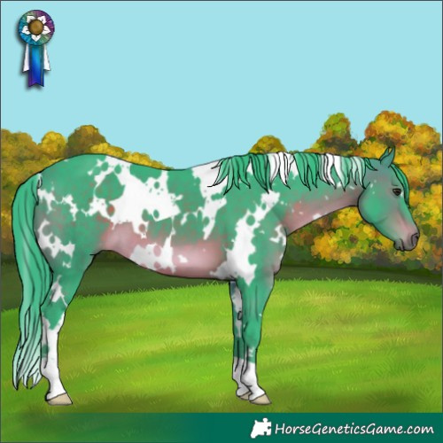 Horse Color:Watercolor White Spotted Brown