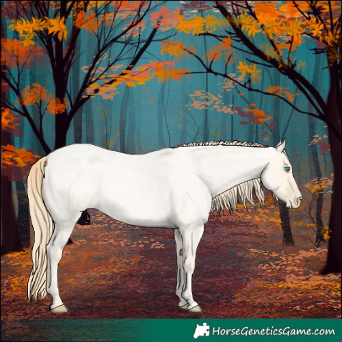 Horse Color:Buckskin Roan Pearl  and Buckskin Roan Pearl 