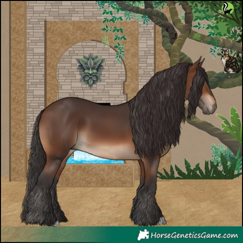 Horse Color:Brown 