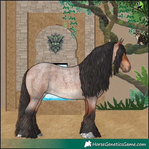 Horse Color:Bay Roan