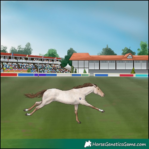 Horse Color:Liver Red Dun Roan Pearl 