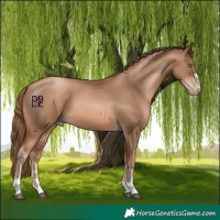 Horse Color:Liver Red Onyx Pearl