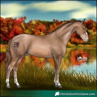 Horse Color:Liver Red Onyx Pearl 