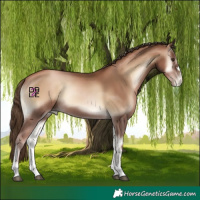 Horse Color:Liver Red Onyx Pearl 