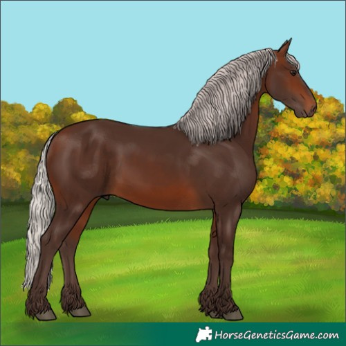 Horse Color:Silver Brown 