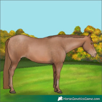 Horse Color:Brown Pearl 