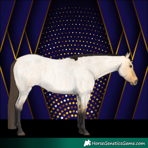 Horse Color:Buckskin Roan Dun 