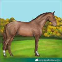 Horse Color:Brown Pearl