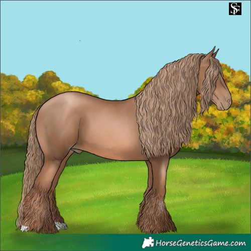 Horse Color:Liver Chestnut Pearl 