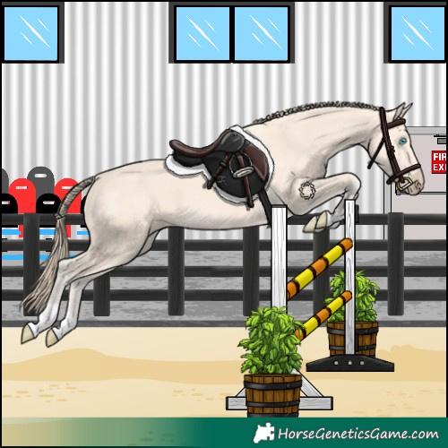 Horse Color:Perlino 