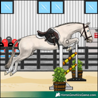 Horse Color:Perlino 