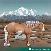 Horse Color:Silver Brown Pearl Frame