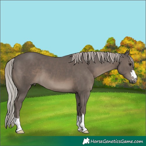 Horse Color:Silver Black 