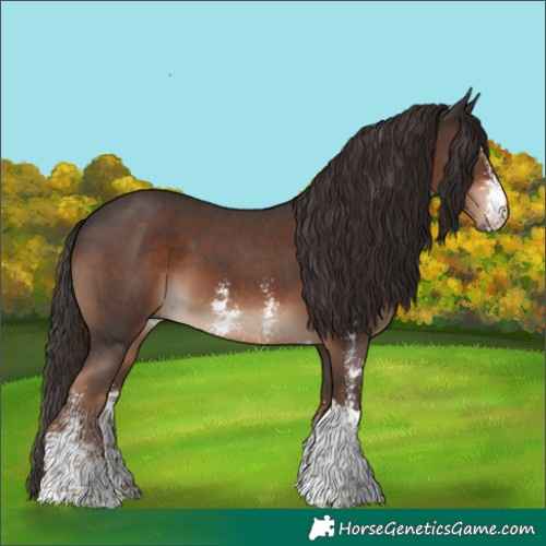 Horse Color:Liver Chestnut Sabino Tobiano 