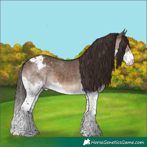 Horse Color:Brown Dun Splash Tobiano Varnish 