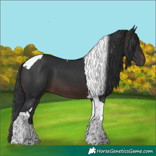 Horse Color:Brown Tobiano