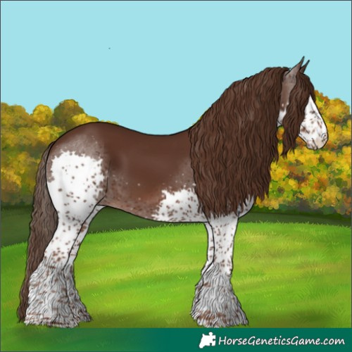 Horse Color:Liver Chestnut Splash Tobiano 