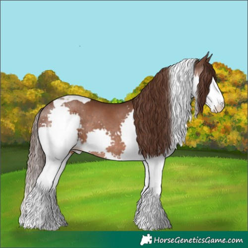 Horse Color:Liver Chestnut Splash Tobiano