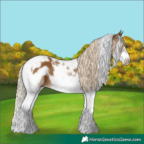 Horse Color:Chocolate Palomino Splash Tobiano Frame 