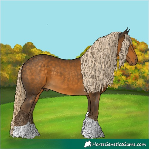 Horse Color:Chocolate Palomino Tobiano 
