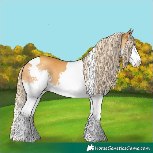 Horse Color:Gold Cream Champagne Splash Tobiano 