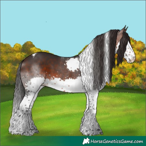 Horse Color:Brown Splash Tobiano