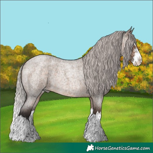 Horse Color:Silver Brown Roan Dun Sabino Splash 