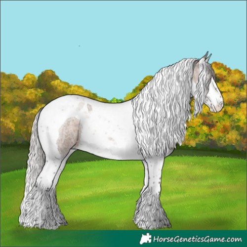 Horse Color:Silver Brown Roan Dun Splash Tobiano