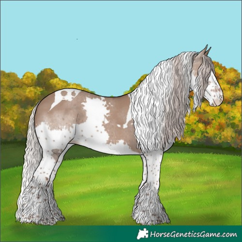 Horse Color:Silver Grullo Splash Tobiano