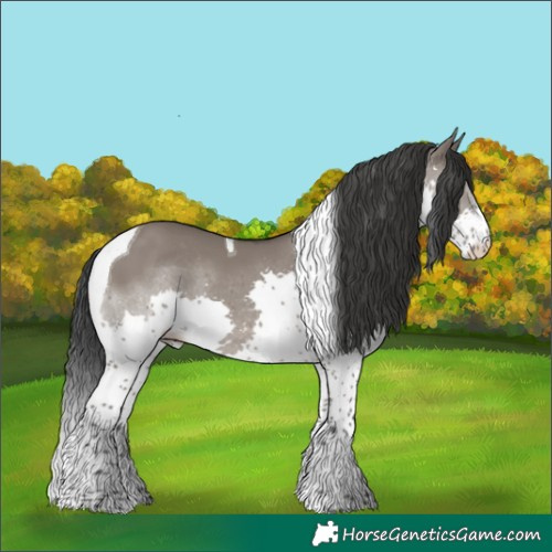 Horse Color:Grullo Splash Tobiano Rabicano 
