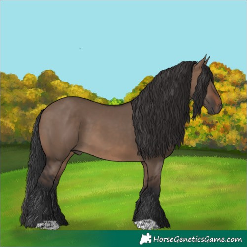 Horse Color:Brown Dun 