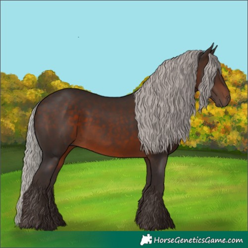 Horse Color:Silver Brown