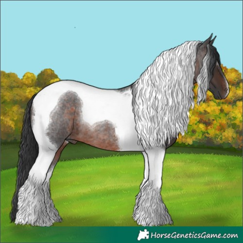 Horse Color:Brown Roan Tobiano