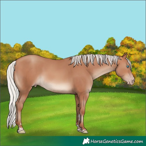 Horse Color:Silver Sable Champagne 