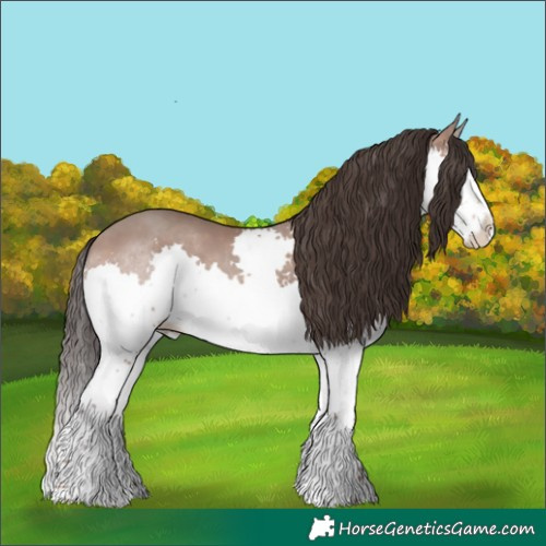 Horse Color:Sable Champagne Splash 