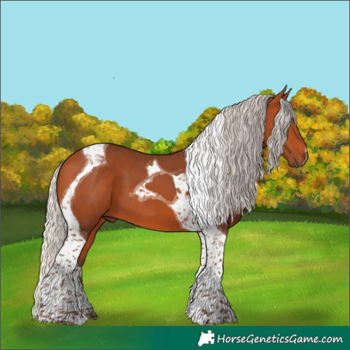 Horse Color:Silver Bay Tobiano