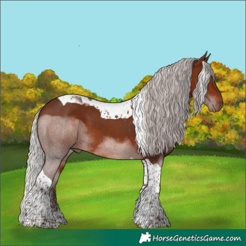 Horse Color:Silver Brown Tobiano 