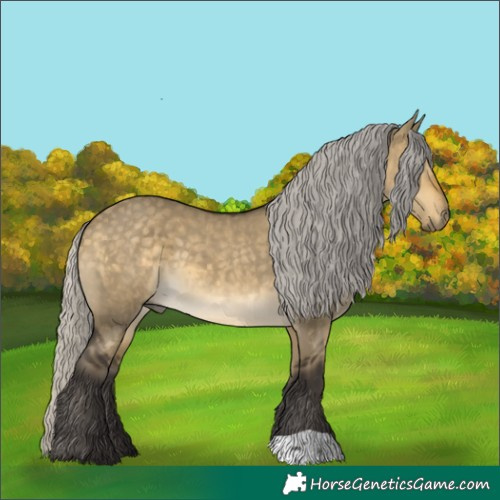 Horse Color:Silver Buckskin Dun