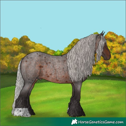 Horse Color:Silver Brown Roan 