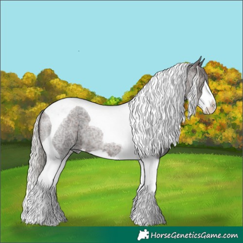 Horse Color:Silver Brown Roan Splash Tobiano
