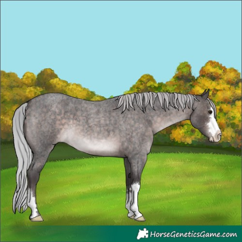 Horse Color:Platinum Silver Brown Roan 
