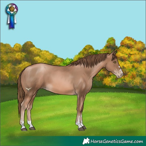 Horse Color:Liver Chestnut Pearl 