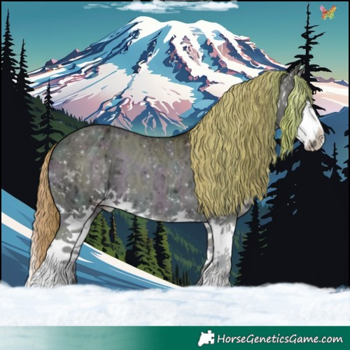 Horse Color:Watercolor Midnight Gold Champagne Ice Pearl Onyx Splash Varnish